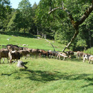 P1060036.JPG