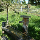 P1060040.JPG