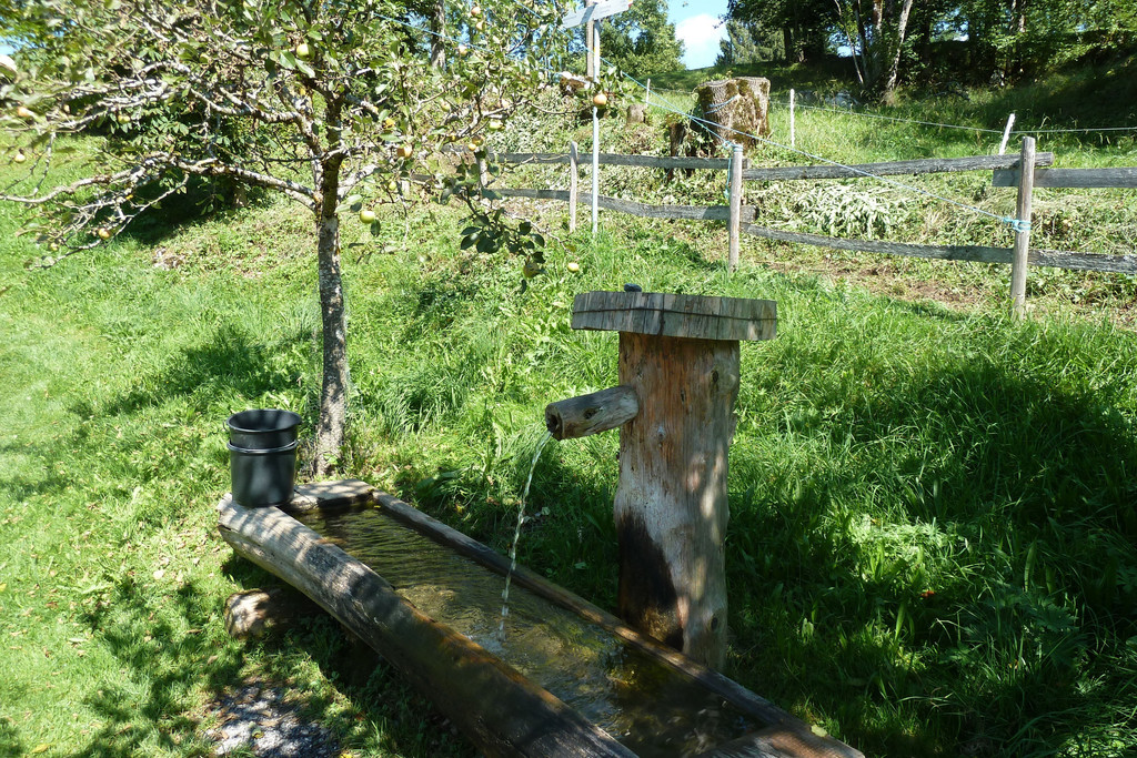 P1060040.JPG