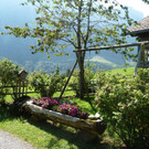 P1060041.JPG