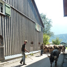 P1060069.JPG