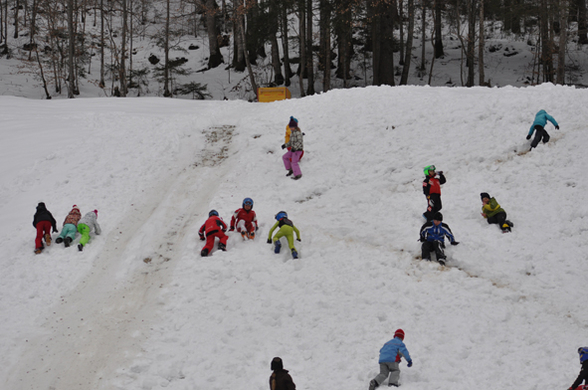 DSC_0162.jpg