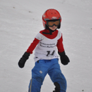 DSC_0117.jpg