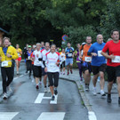 12092013salzburgerbusinesslaufat07003aktivnews_855.JPG