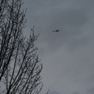IMG_5611.JPG