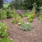 PICT2237.JPG