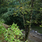 Dorfbach Sanierung Rutschungen 2013 _9__jpg-1379084960