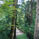 Dorfbach Sanierung Rutschungen 2013 _10__jpg-1379084967