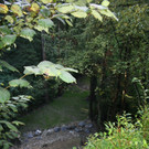 Dorfbach Sanierung Rutschungen 2013 _7__jpg-1379084948