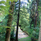 Dorfbach Sanierung Rutschungen 2013 _11__jpg-1379084975