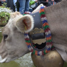 DSC00840.JPG