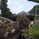 DSC01074.JPG