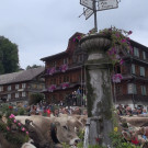 DSC01078.JPG