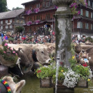 DSC01080.JPG