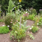 PICT2238.JPG