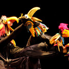 DSC01349.JPG