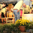 IMG_1964.JPG