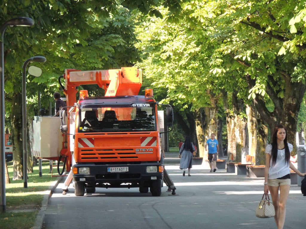 DSCN5172_JPG-1379108009