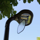 DSCN5175_JPG-1379108015