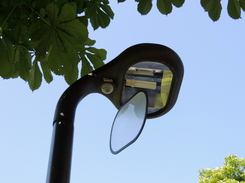 DSCN5175_JPG-1379108015