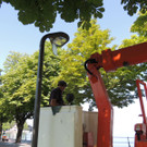 DSCN5180_JPG-1379108027