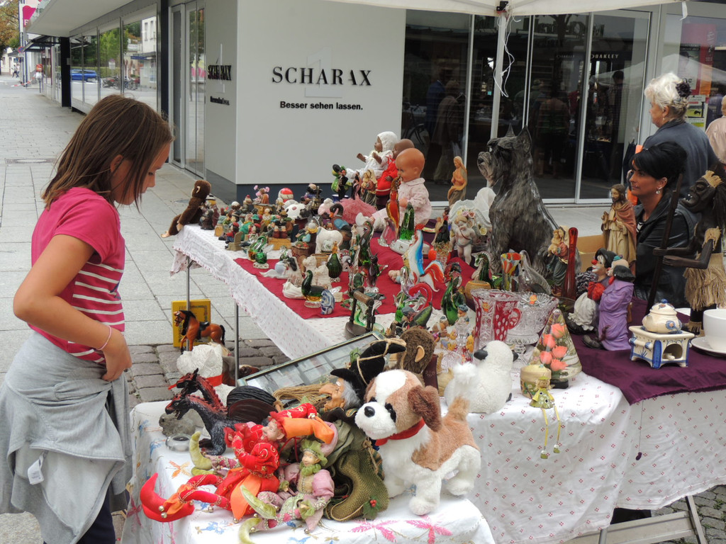 DSCN4008_JPG-1379108510