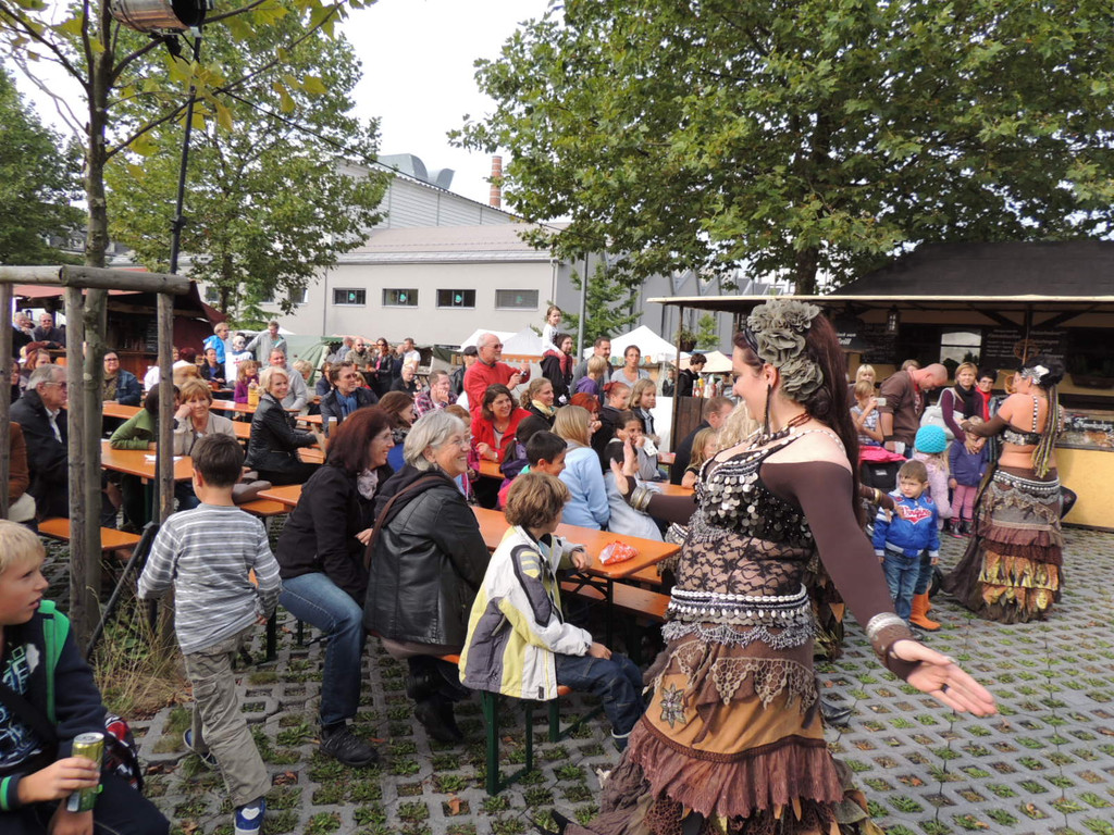 DSCN4277_JPG-1379112512