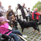 DSCN4283_JPG-1379112532