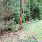 DSC_0006.JPG
