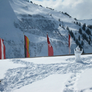 BK_Skiwoche einmal anders M__rz2010 025_jpg-1268685373