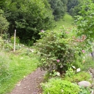PICT2239.JPG