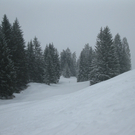 BK_Skiwoche einmal anders M__rz2010 135_jpg-1268685436