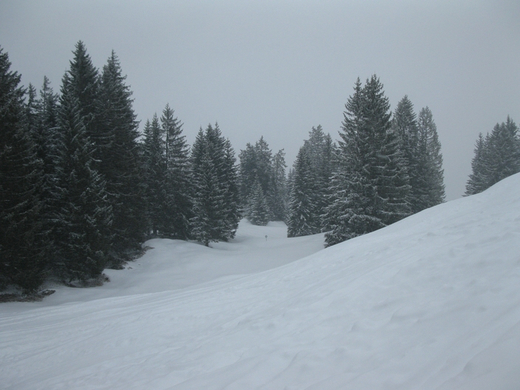 BK_Skiwoche einmal anders M__rz2010 135_jpg-1268685436