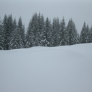 BK_Skiwoche einmal anders M__rz2010 136_jpg-1268685438