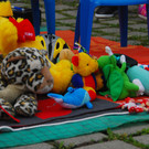 DSC_9253_jpg-1379172334