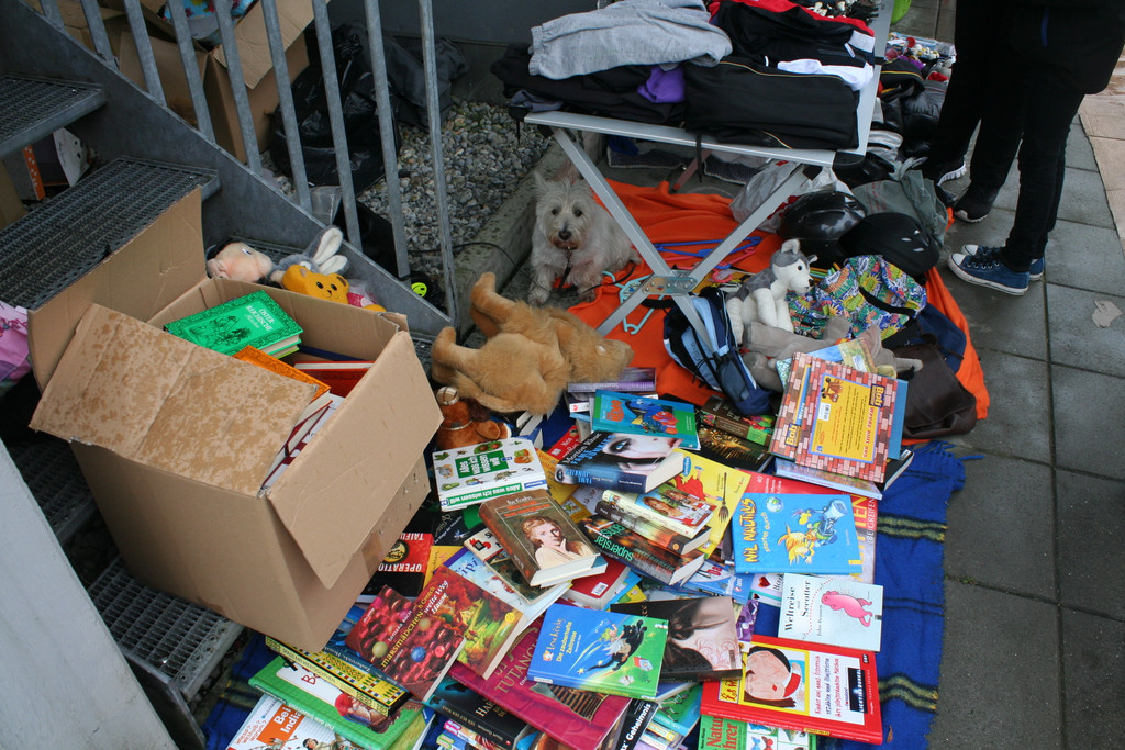 IMG_1624_JPG-1379175731