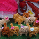 DSC07126.JPG
