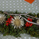 DSC07200.JPG