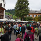 DSC07214.JPG