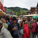 DSC07226.JPG