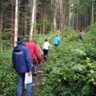 DSC_3602_JPG-1379185613