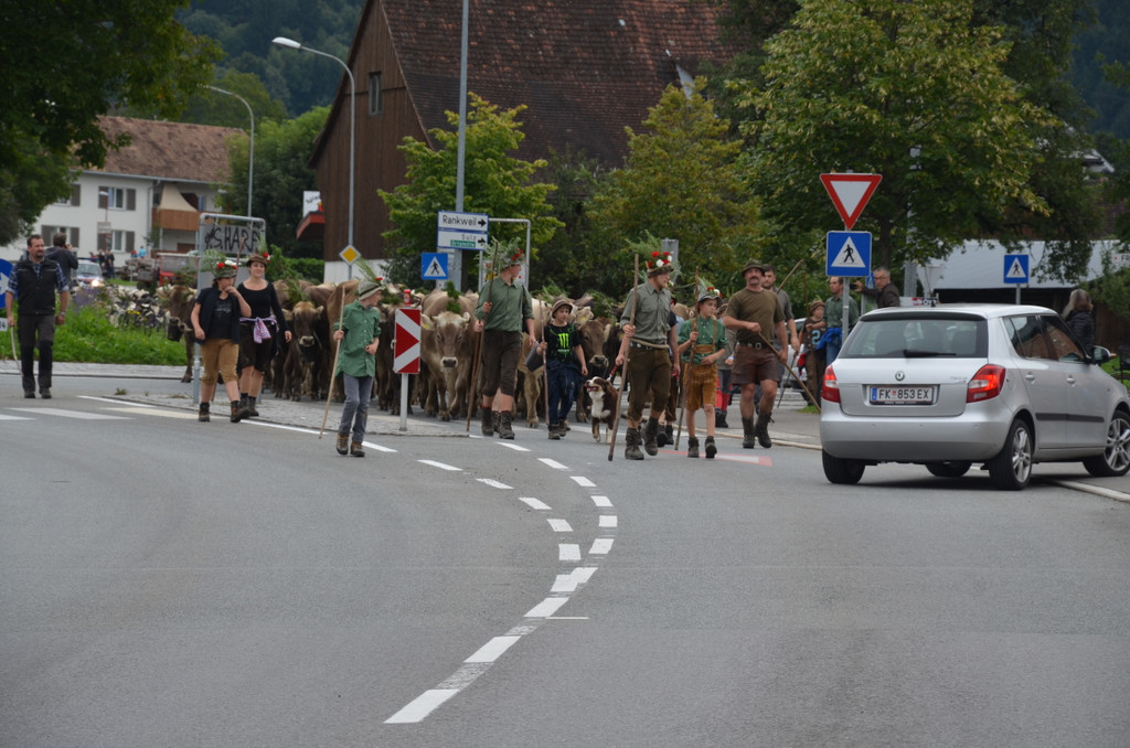DSC_5442_JPG-1379234988