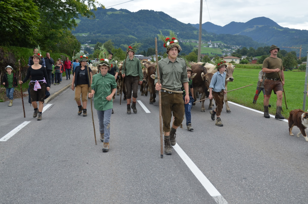 DSC_5463_JPG-1379235096