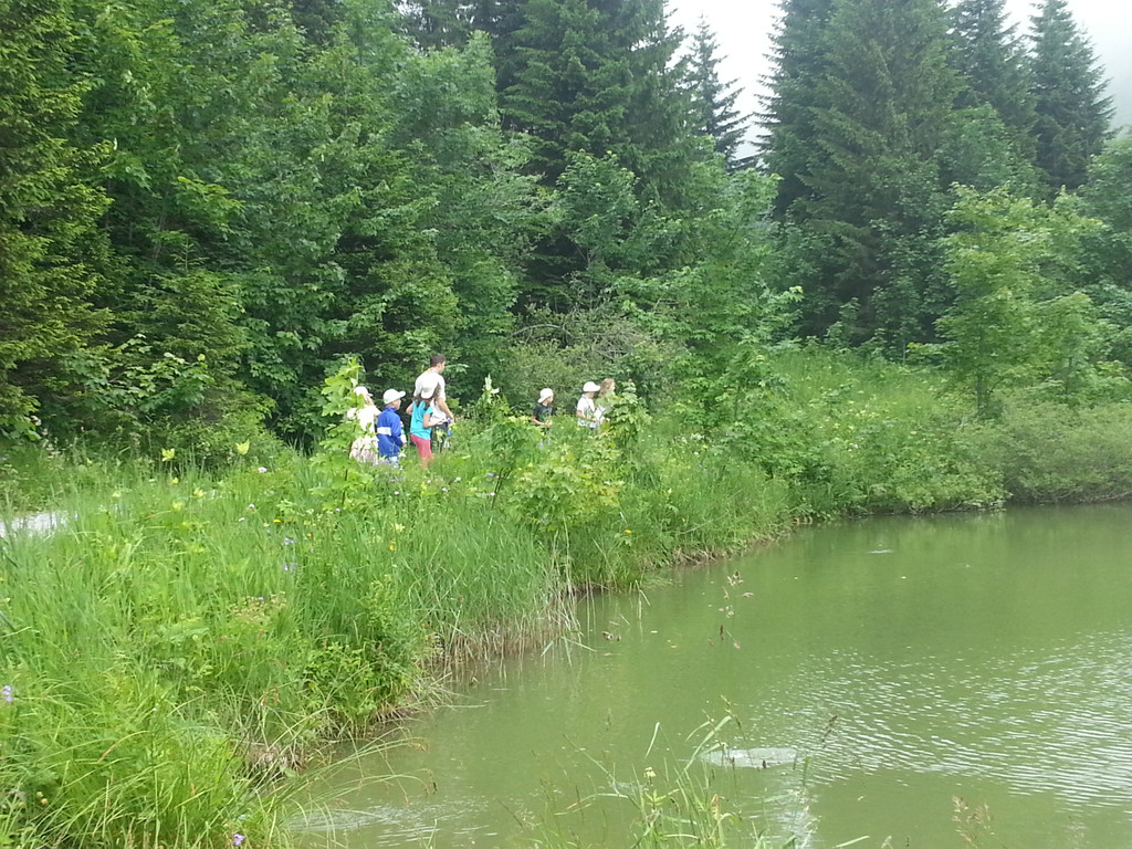 20130711_120952_jpg-1379240143