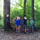 IMG_5523_JPG-1379240219