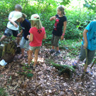 IMG_5561_JPG-1379240224