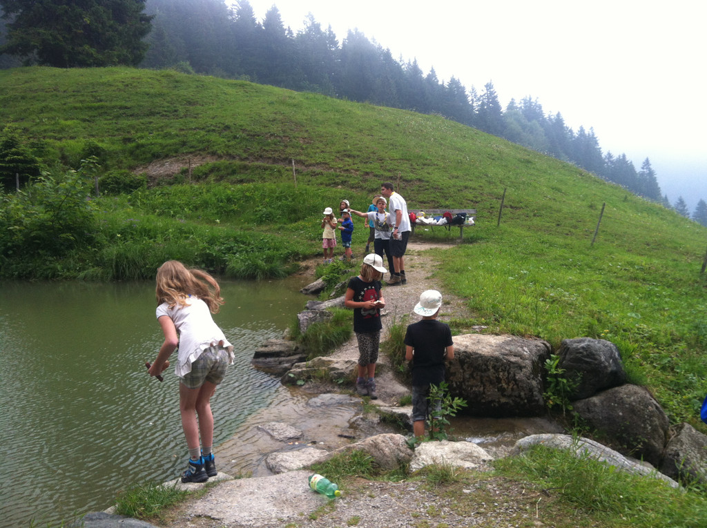 IMG_5449_JPG-1379241880