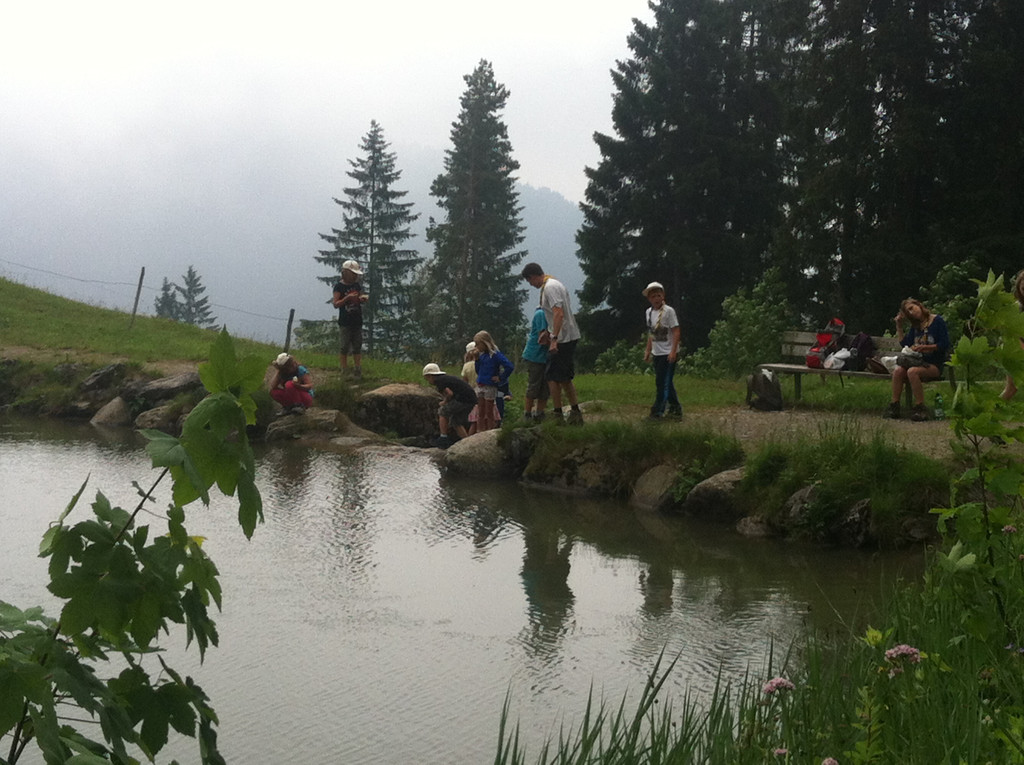 IMG_5460_JPG-1379241882