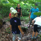 IMG_5562_JPG-1379241901