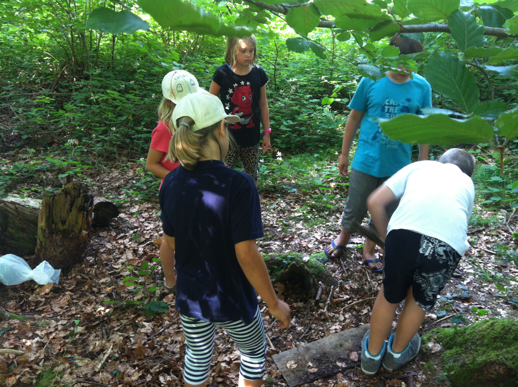 IMG_5562_JPG-1379241901
